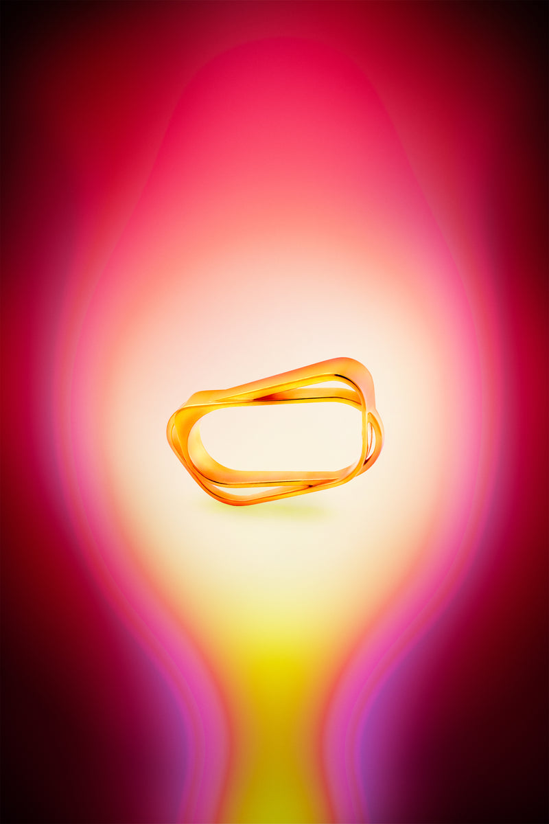 swing_and_roundabouts_ring